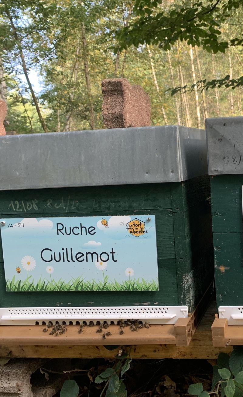 La ruche Guillemot