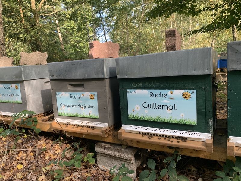La ruche Guillemot