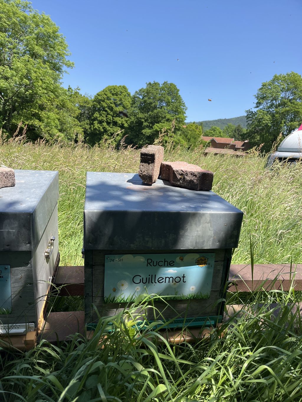 La ruche Guillemot