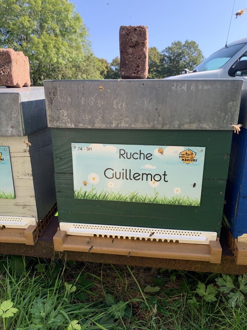 La ruche Guillemot