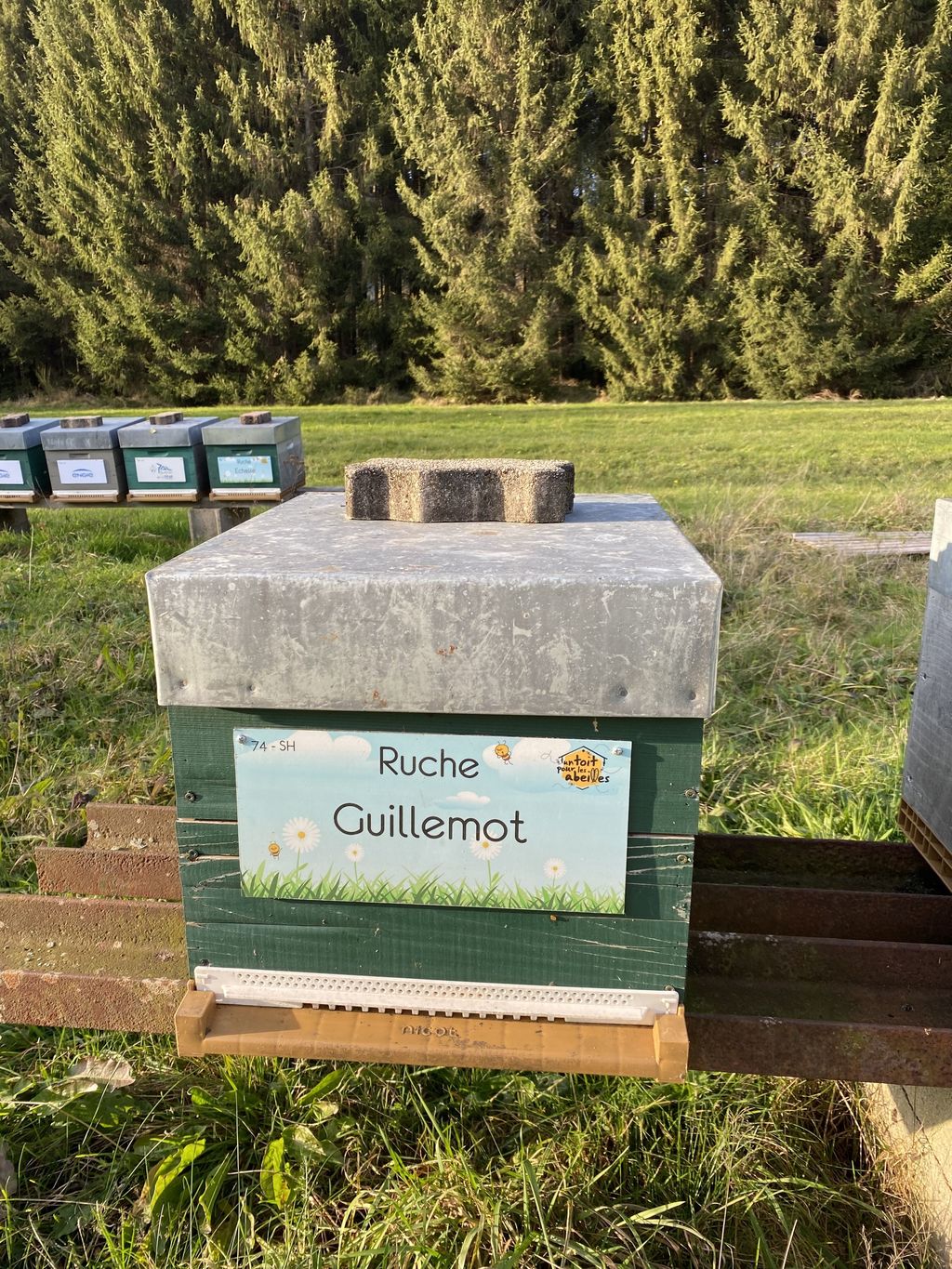 La ruche Guillemot