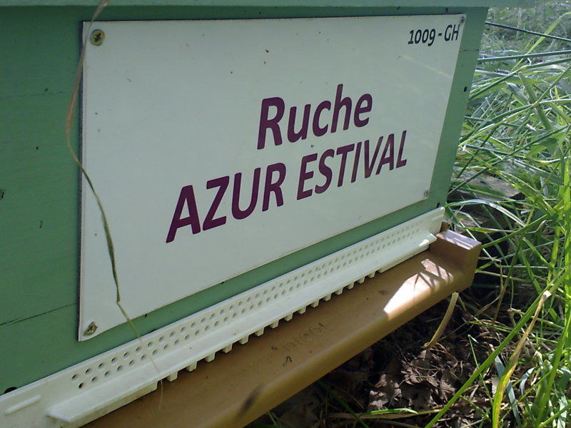 La ruche Azur estival