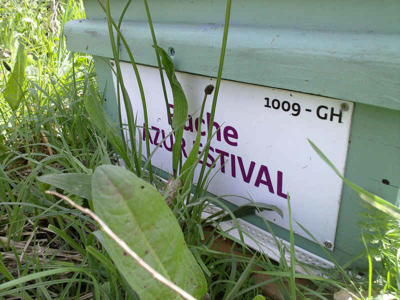 La ruche Azur estival