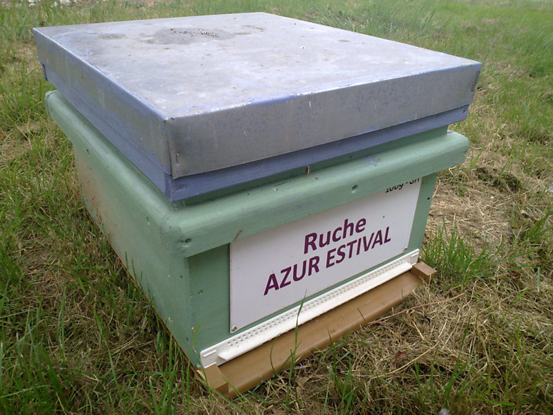 La ruche Azur estival