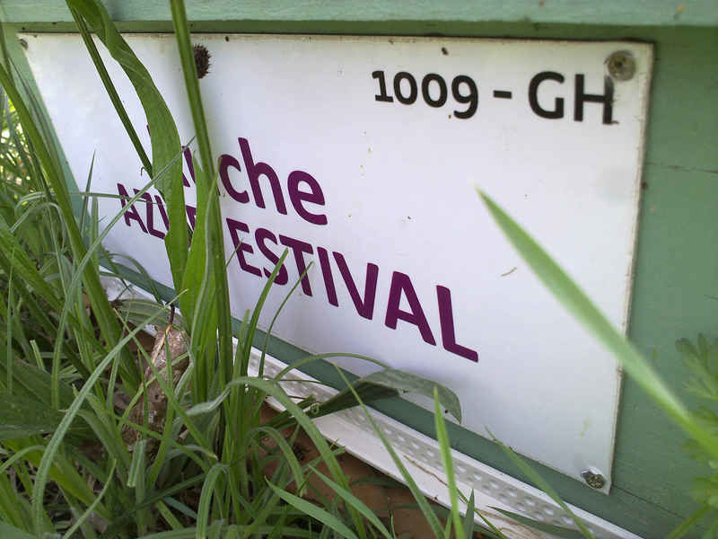 La ruche Azur estival