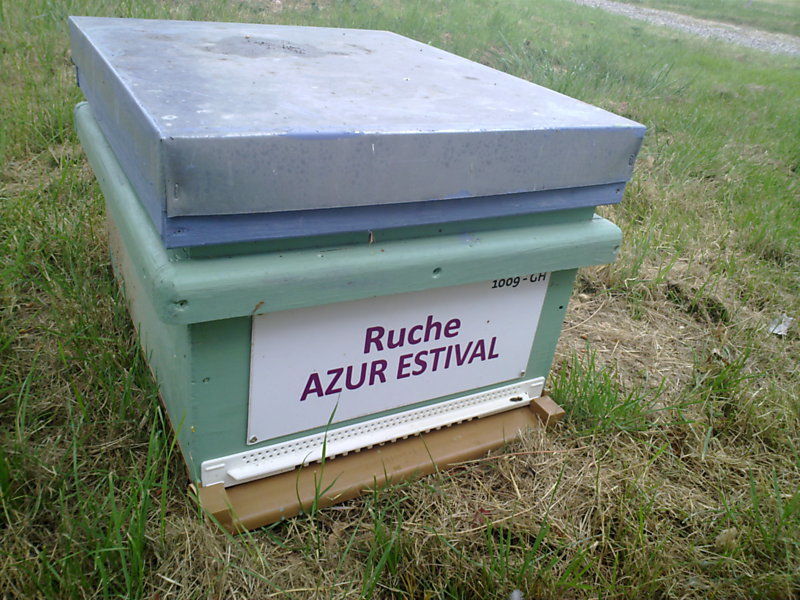 La ruche Azur estival