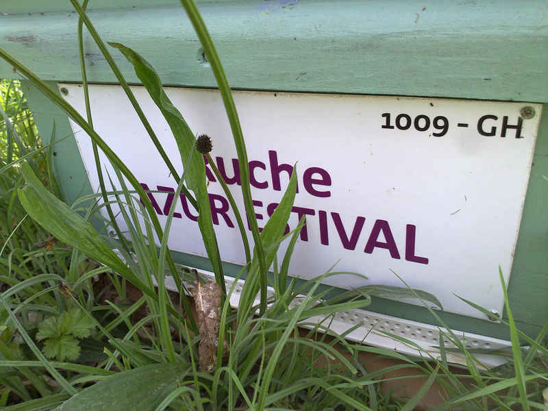 La ruche Azur estival