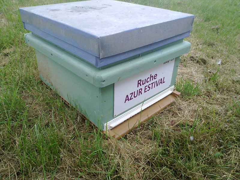 La ruche Azur estival