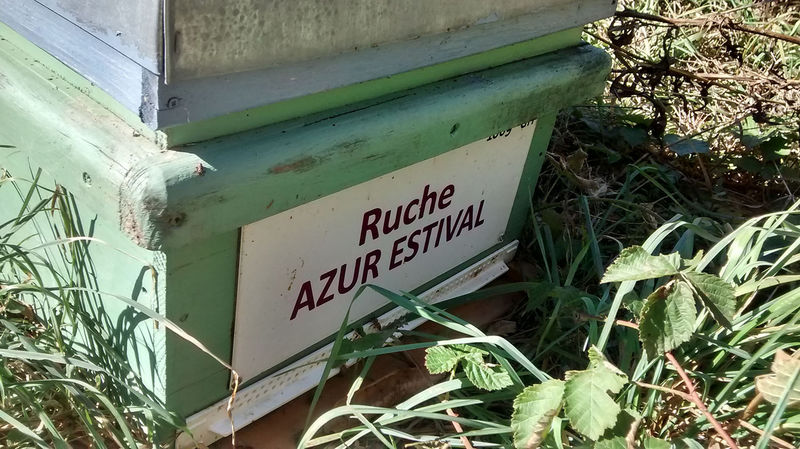 La ruche Azur estival