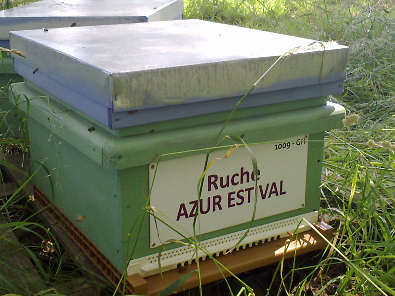 La ruche Azur estival
