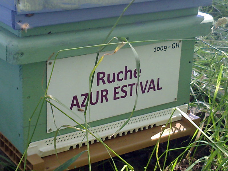 La ruche Azur estival