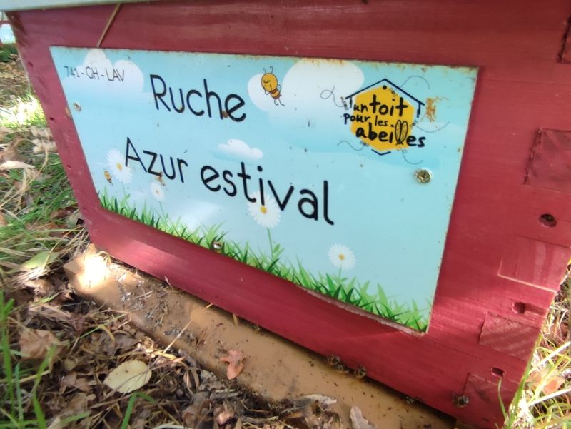 La ruche Azur estival