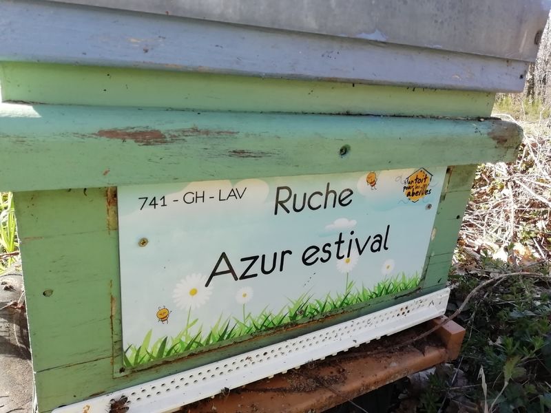 La ruche Azur estival