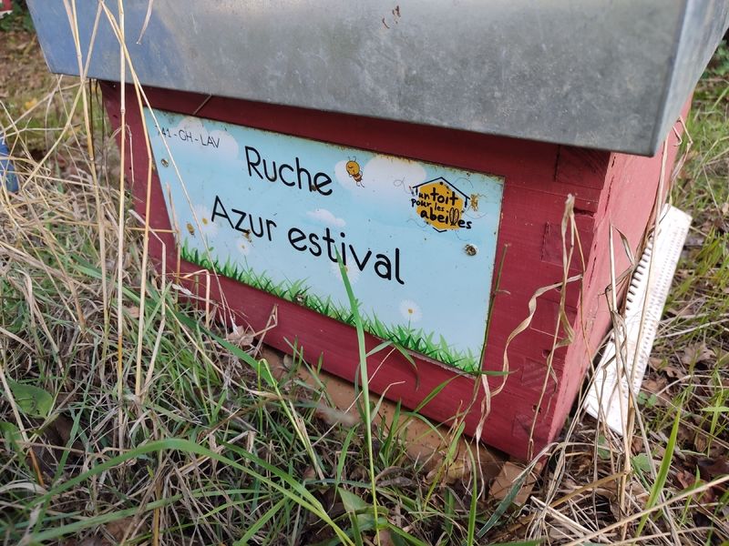 La ruche Azur estival
