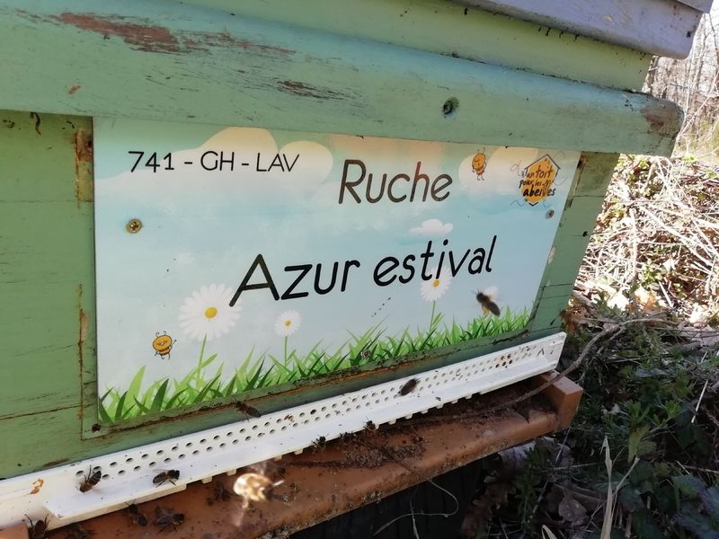 La ruche Azur estival