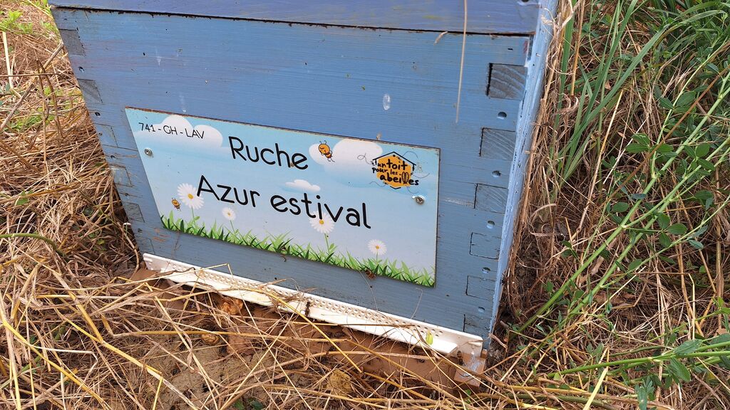 La ruche Azur estival