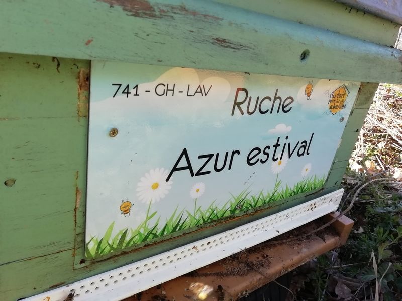 La ruche Azur estival