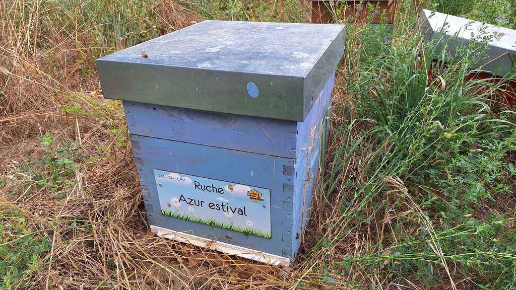 La ruche Azur estival