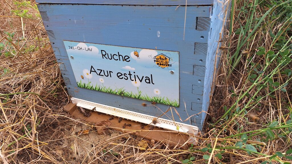 La ruche Azur estival