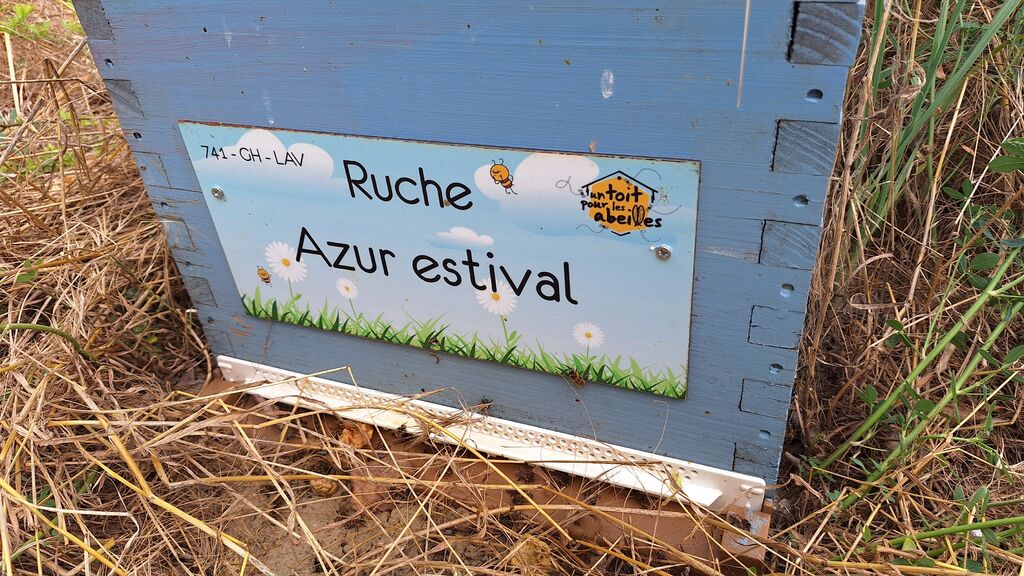 La ruche Azur estival