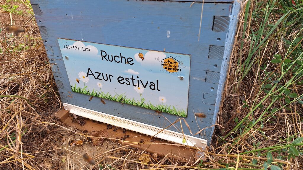 La ruche Azur estival