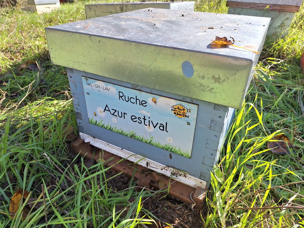 La ruche Azur estival