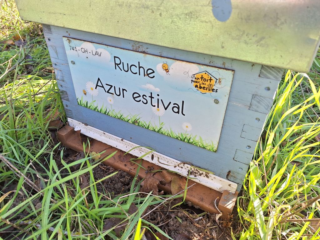 La ruche Azur estival