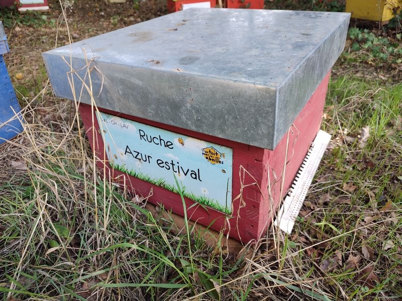 La ruche Azur estival