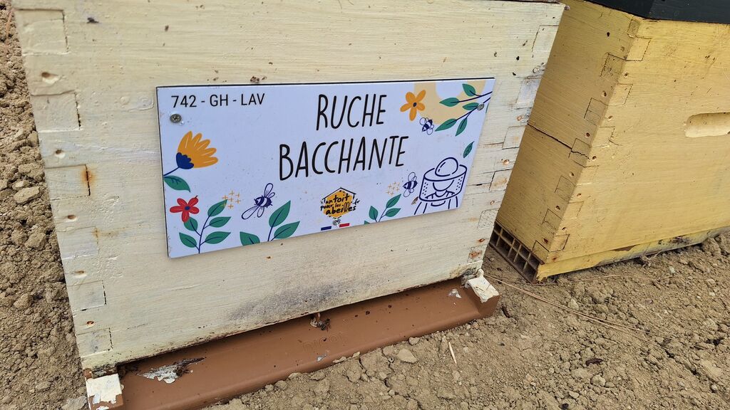 La ruche Bacchante