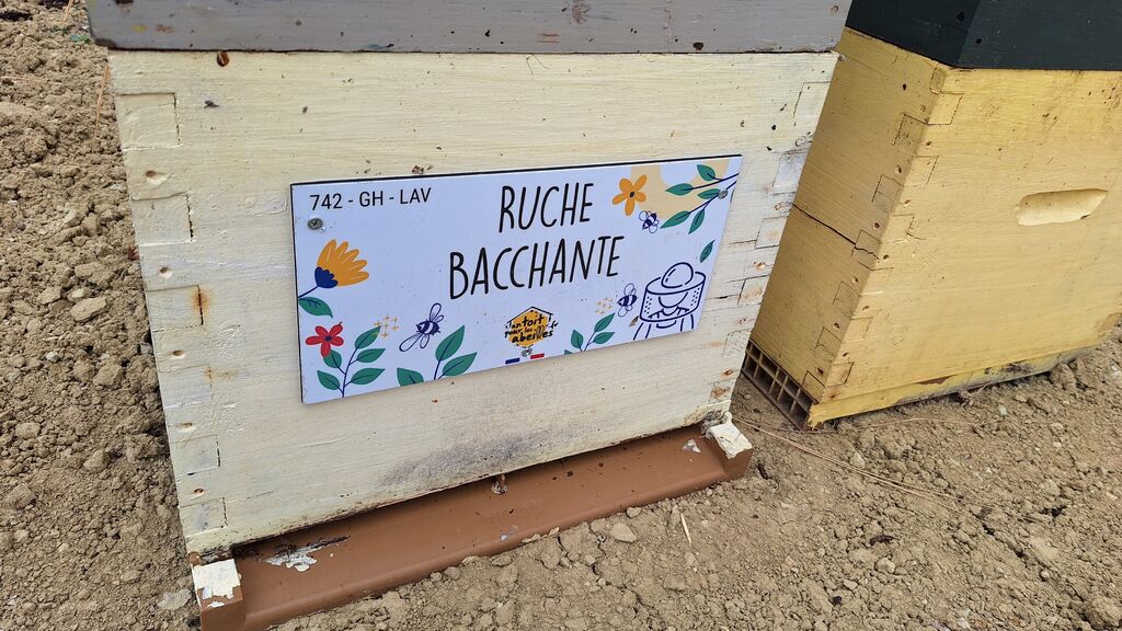 La ruche Bacchante