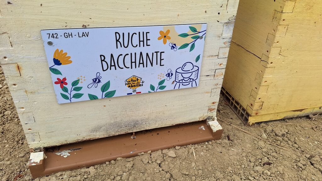 La ruche Bacchante