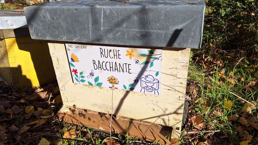La ruche Bacchante