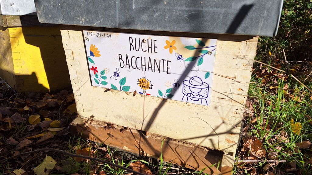 La ruche Bacchante