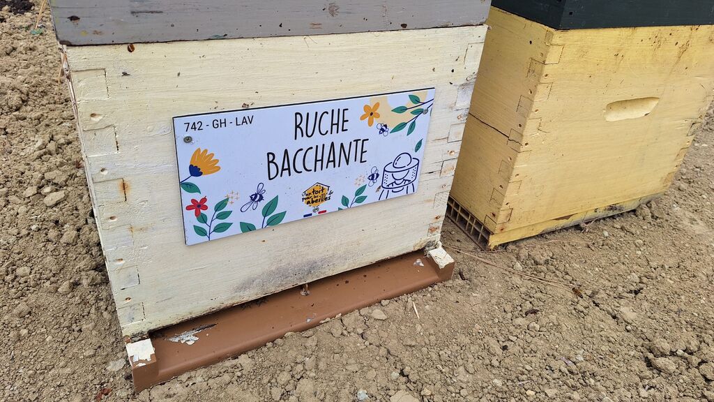 La ruche Bacchante