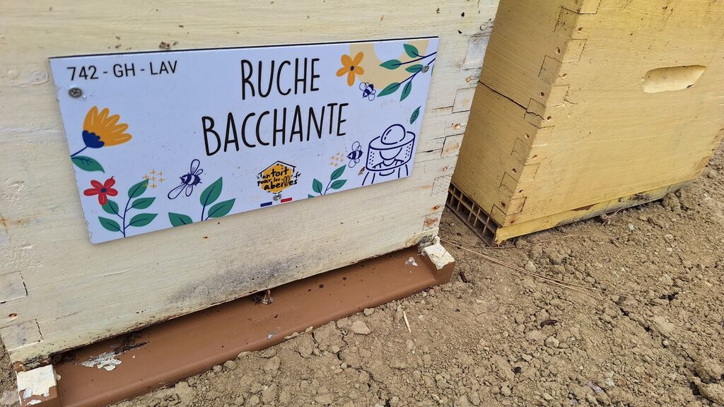 La ruche Bacchante
