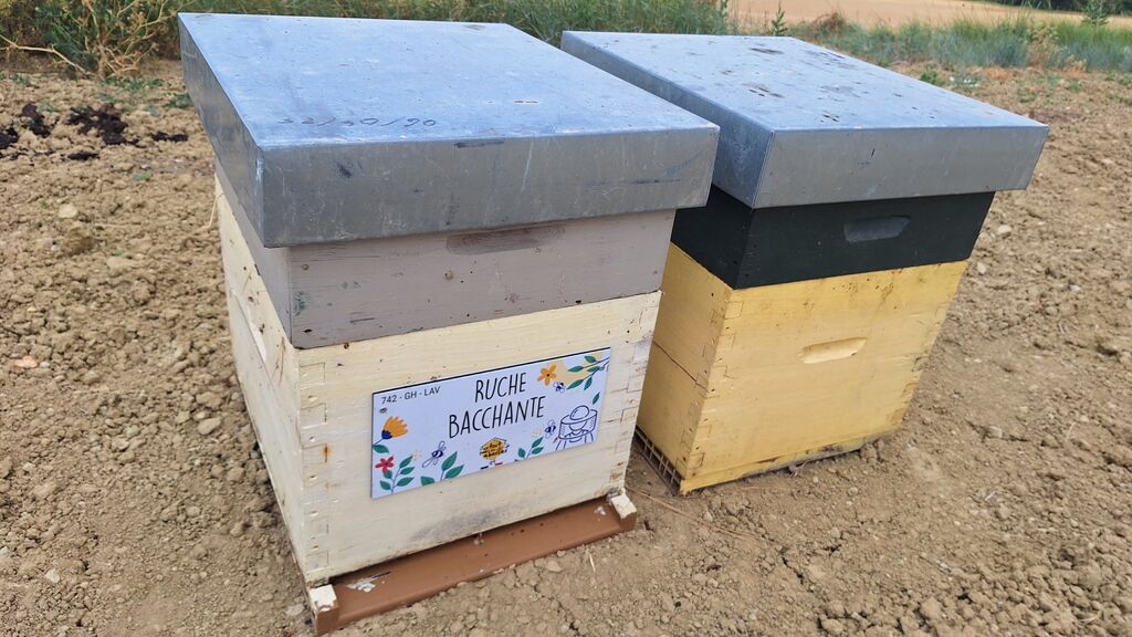 La ruche Bacchante