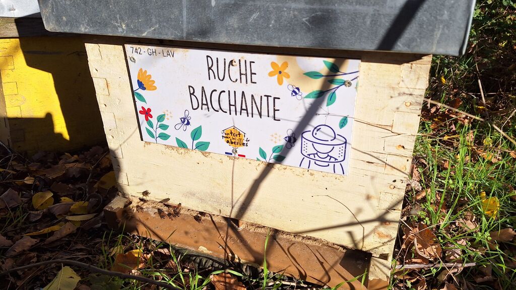 La ruche Bacchante