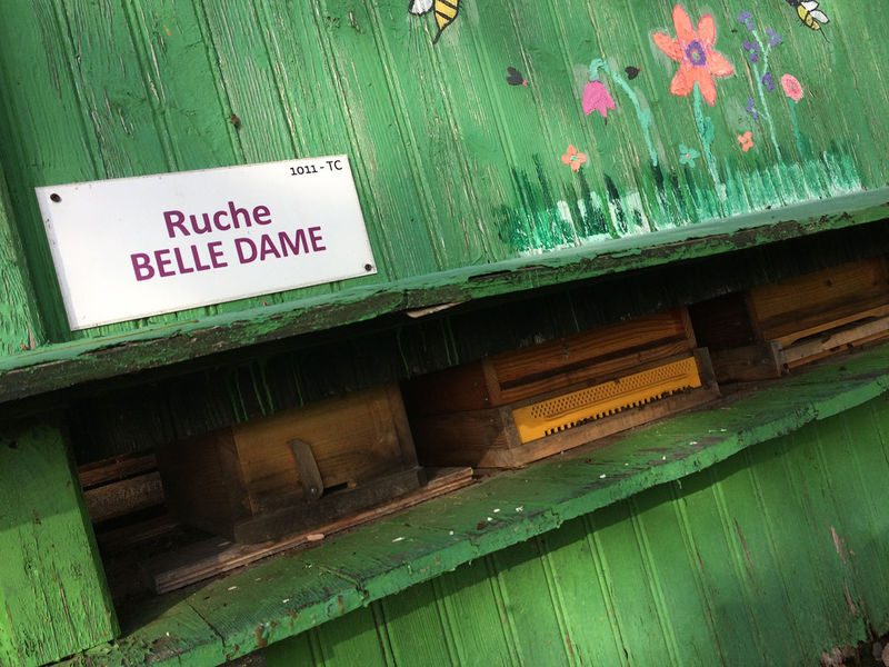 La ruche