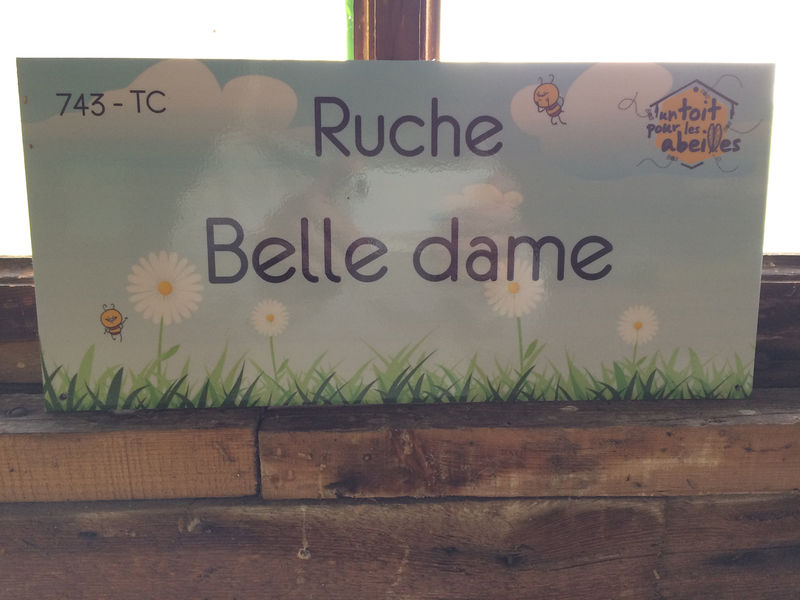 La ruche Belle dame