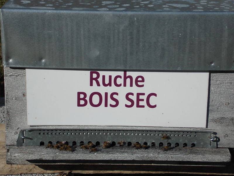 La ruche Bois sec