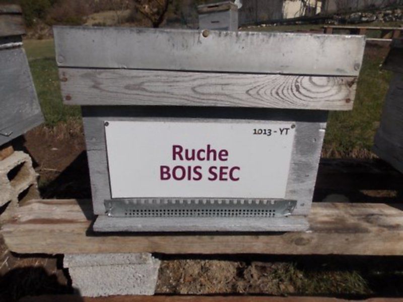 La ruche Bois sec