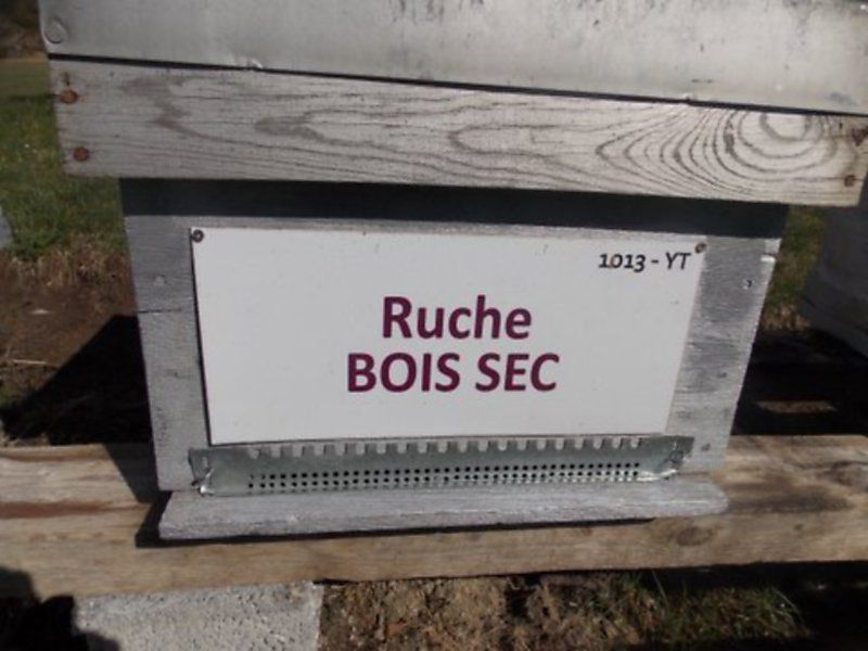 La ruche Bois sec