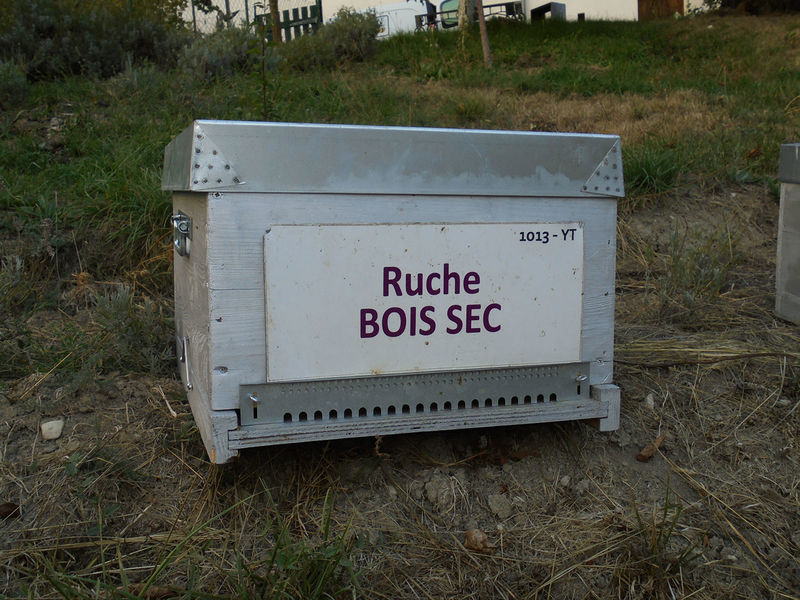 La ruche Bois sec