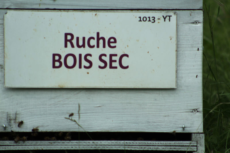 La ruche Bois sec