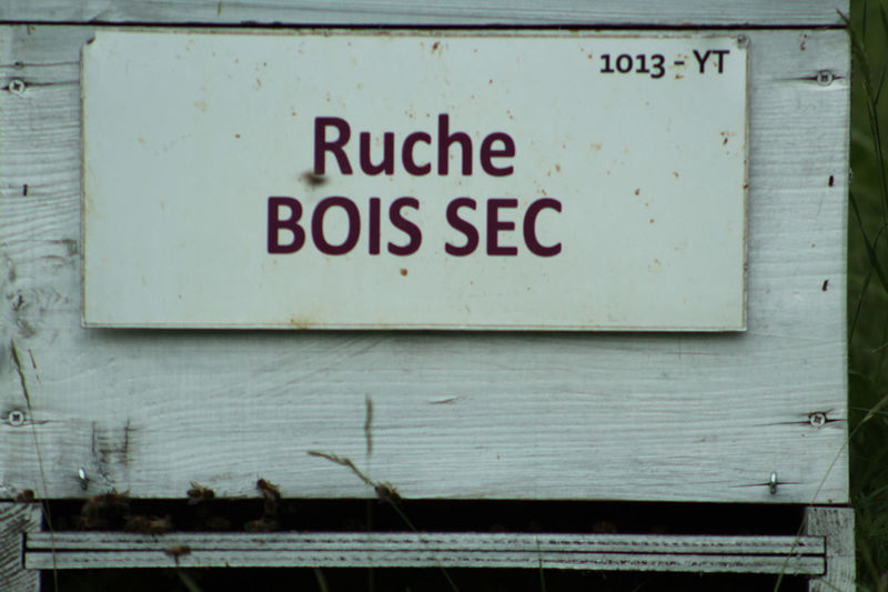 La ruche Bois sec