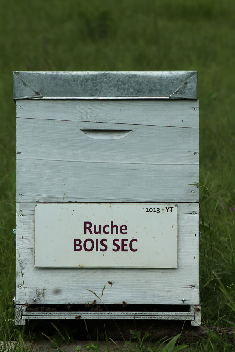 La ruche Bois sec