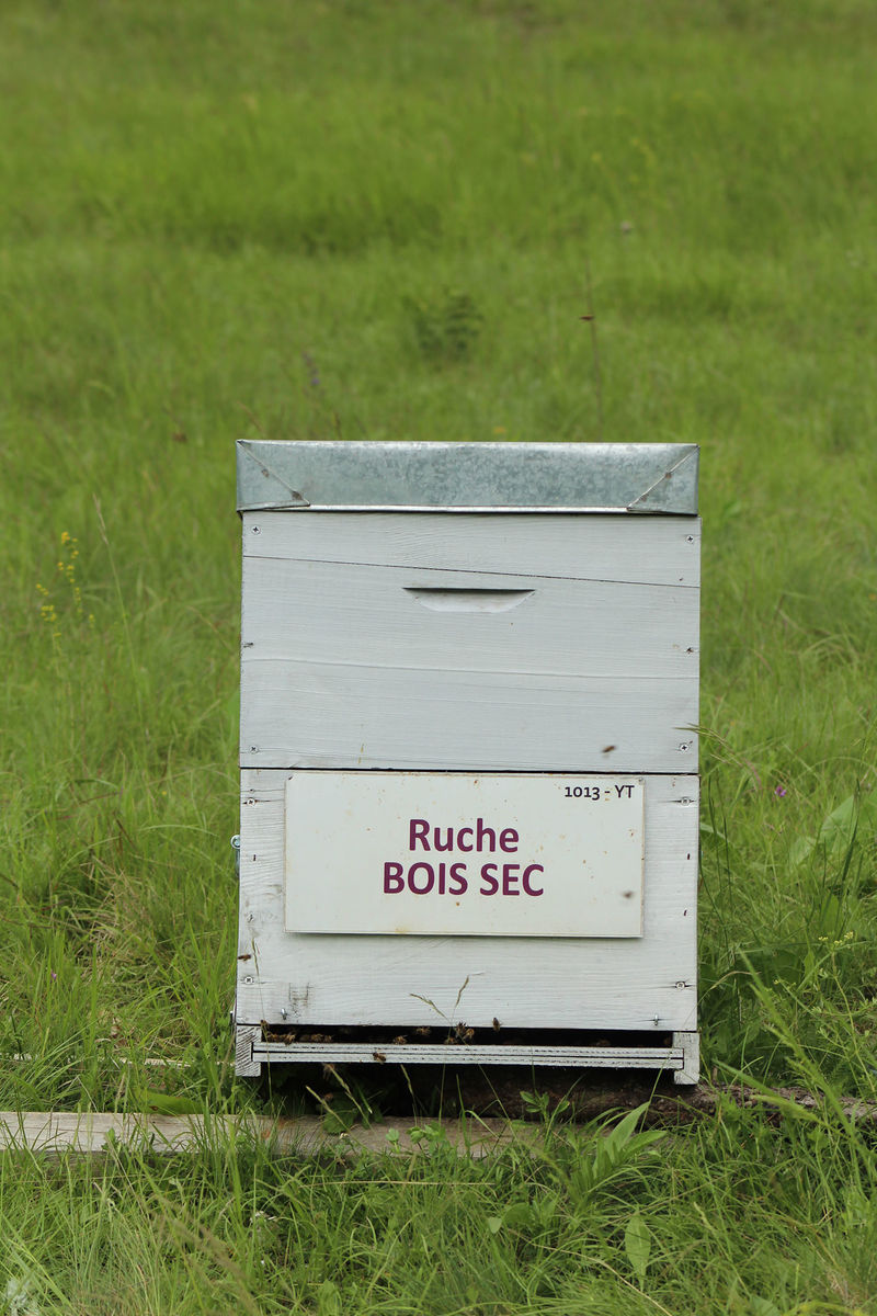 La ruche Bois sec