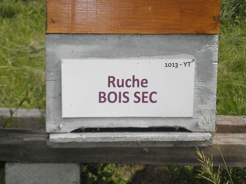 La ruche Bois sec