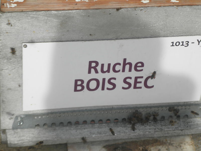 La ruche Bois sec