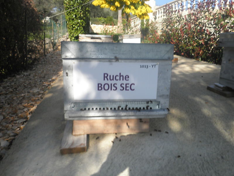 La ruche Bois sec